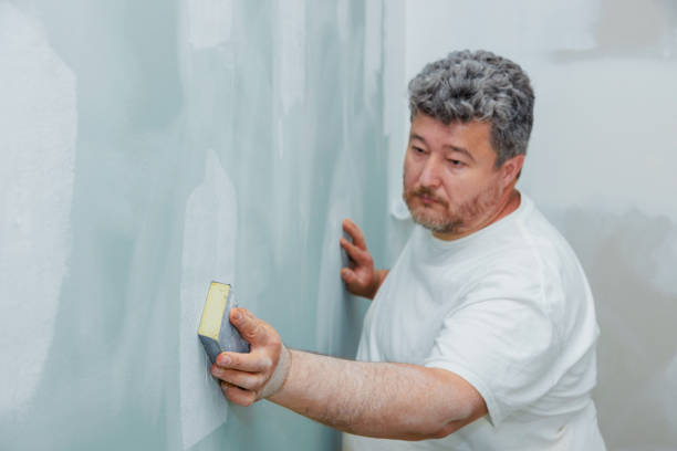 Best Mold Damage Restoration  in USA